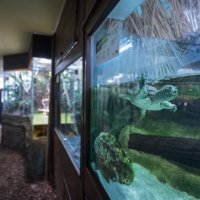 Preuređeni paviljon Duh monsunskih šuma u Zagrebačkom Zoološkom vrtu