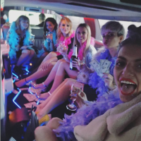 Djevojačka Elle Dvornik