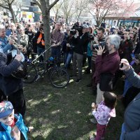 Šetnja za očuvanje potoka Črnomerec