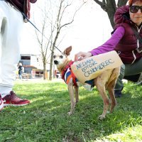 Šetnja za očuvanje potoka Črnomerec