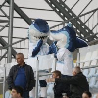 Rijeka - Slaven Belupo (27. kolo HT Prve lige)