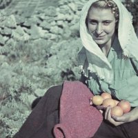 Žena s narančama. Čiovo, 1942. Autor: Živko Gattin. Fotografije ustupila Ingrid Gattin Pogutz.