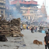 Manikarnika gat - kremacija
