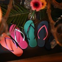 Havaianas (33)
