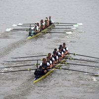 Muška veslačka utrka između Cambridgea i Oxforda