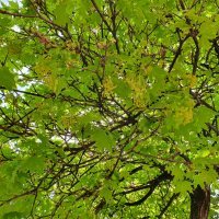 Samsung Galaxy S10+ primjeri fotografija