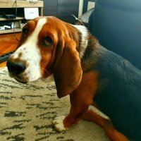 Samsung Galaxy S10+ primjeri fotografija