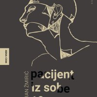 Zoran Žmirić, Pacijent iz sobe 19 (Hena com)