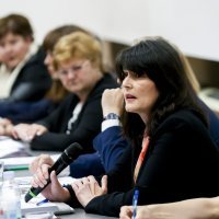 Panel o Protokolu o postupanju u slučaju nasilja u obitelji