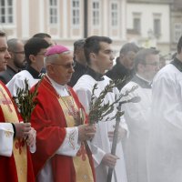 Cvjetnica u zagrebačkoj katedrali