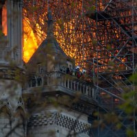 Požar na katedrali Notre Dame