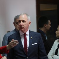 Andro Krstulović Opara