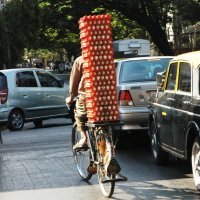 Koliko jaja stane na bicikl