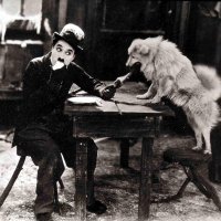 Zlatna groznica, 1925.