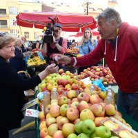 Most nezavisnih lista dijelio je čokoladne pisanice građanima Zagreba