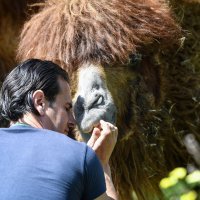 Zagreb: Zekanje u zoološkom vrtu