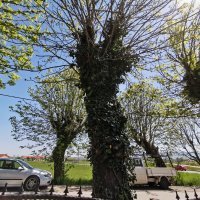 Huawei P30 Pro primjeri fotografija