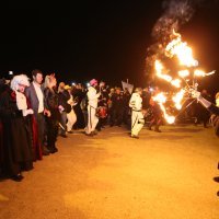 Split karneval 2017.