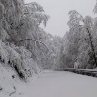 Snijeg u Nacionalnom parku Sjeverni Velebit