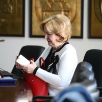 Nastavljena sjednica Gradskog vijeća