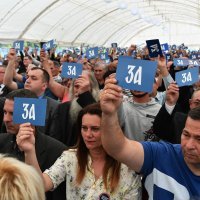 Skup Vojislava Šešelja i Srpske radikalne stranke u Hrtkovcima