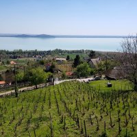 Balaton