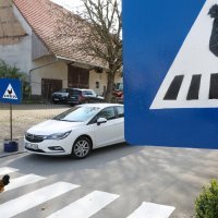 Pješački prijelaz za kokoši