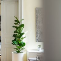 Interijeri s potpisom tvrtke Moj balkon