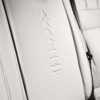 Utisnuti simboli leta na stražnjem sjedalu