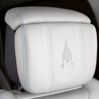 Utisnuti simboli leta na naslonu za glavu