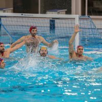 VK Jug CO - HAVK Mladost