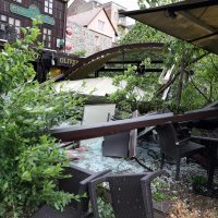 Stablo palo na terasu lokala u Tkaličićevoj ulici