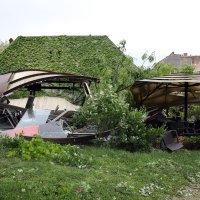 Stablo palo na terasu lokala u Tkaličićevoj ulici