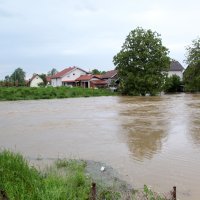 Visoki vodostaj Sunje