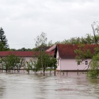 Visoki vodostaj Sunje