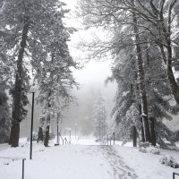 Na Sljemenu zimska idila usred svibnja