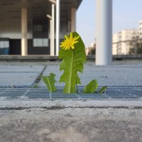 Željko Badurina, Danas ispred MSU-a, 2017.-2019.