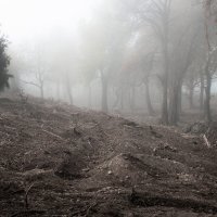 Domagoj Burilović, Teraformiranje, 2019.