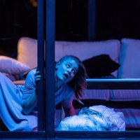 Kroćenje goropadnice