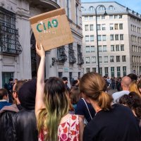 Ostavka Heinz-Christiana Strachea