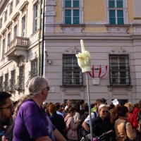 Ostavka Heinz-Christiana Strachea