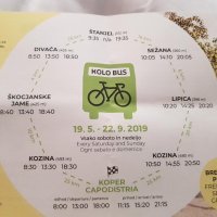 Bike bus i EuroVelo 8