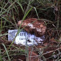 Miro Bulj izveo performans polaganja kamena temeljca u Pokrovniku