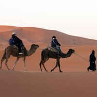 Izlet u Saharu