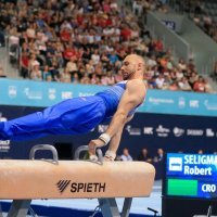 Robert Seligman osvojio je prvo mjesto u konju s hvataljkama