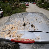 Split: Dva stabla pala na parkirana vozila u Gajevoj ulici