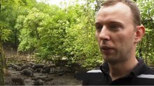 U ovome smo dvaput jači od Europe: Ne samo da nisu otišli, nego i popravljaju 'krvnu sliku'