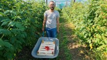 Probudio sam se prije zore i krenuo u polje. Dao sam sve od sebe, ali bakice su me svejedno prešišale. Bio bih se manje osramotio da nije bilo jedne stvari