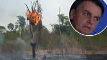 Bolsonaro uveo zabranu spaljivanja šume