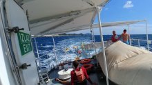 U zadnji čas iz nevremena spašeno osam kajakaša na moru kod Dubrovnika